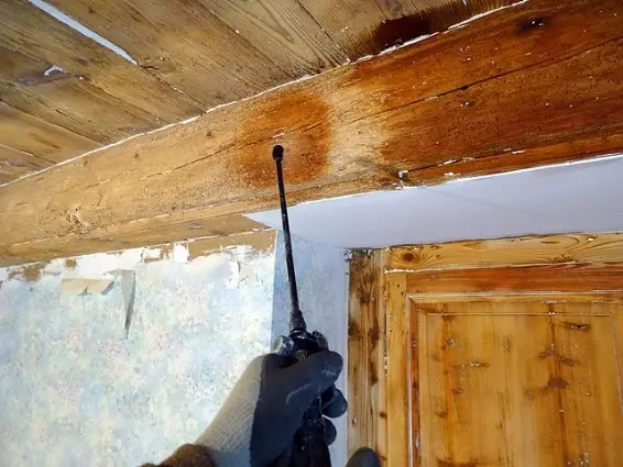 Traitemetn de bois anti termites bordeaux 33 gironde